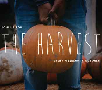 The Harvest 2020